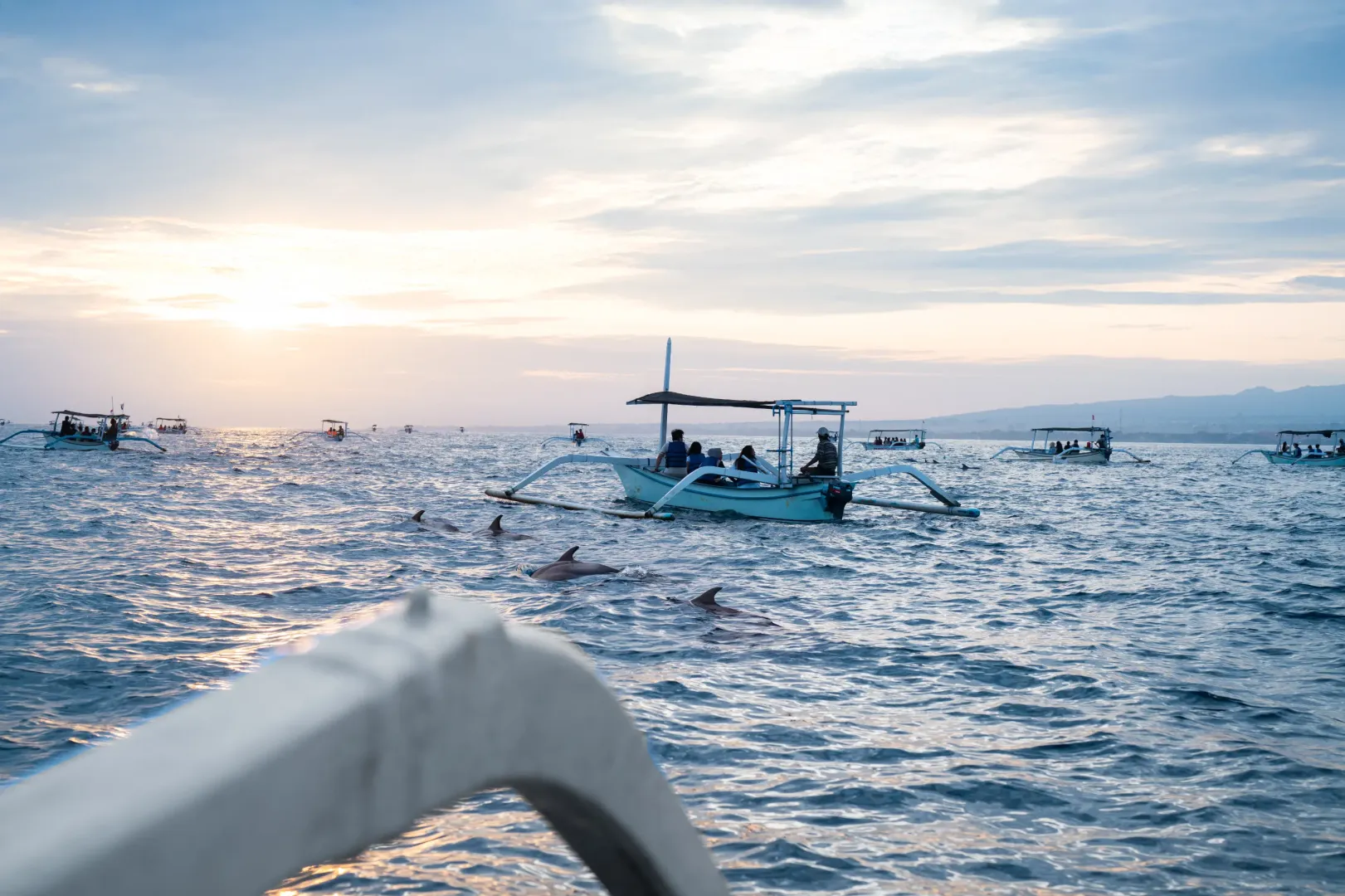 Dolphin Tour